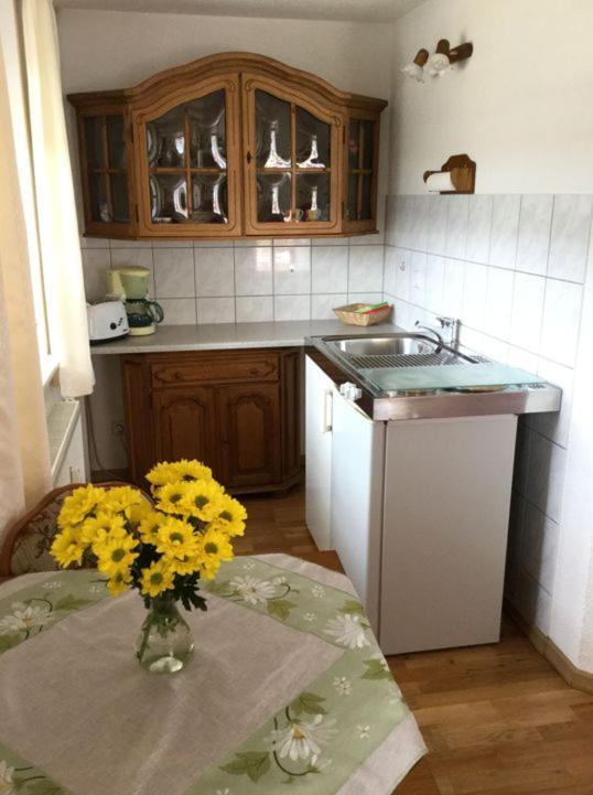 Pension Elblinge Apartment Prossen Ngoại thất bức ảnh